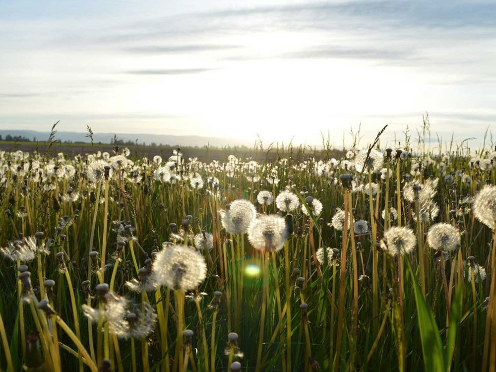 我們的(de)使命是(shì)讓LED驅動器(qì)更可(kě)靠，更長(cháng)壽命